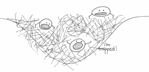 An osteoblast becomes trapped in all the collagen it's laying down. It will eventually form connections with other cells and the blood supply to help maintain the bone from the inside.